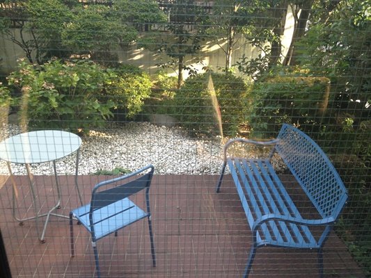 P20130719_165351180_6DC1C22B-BEDE-4425-A597-86A5AA1BA374