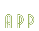 Social App Activity Report