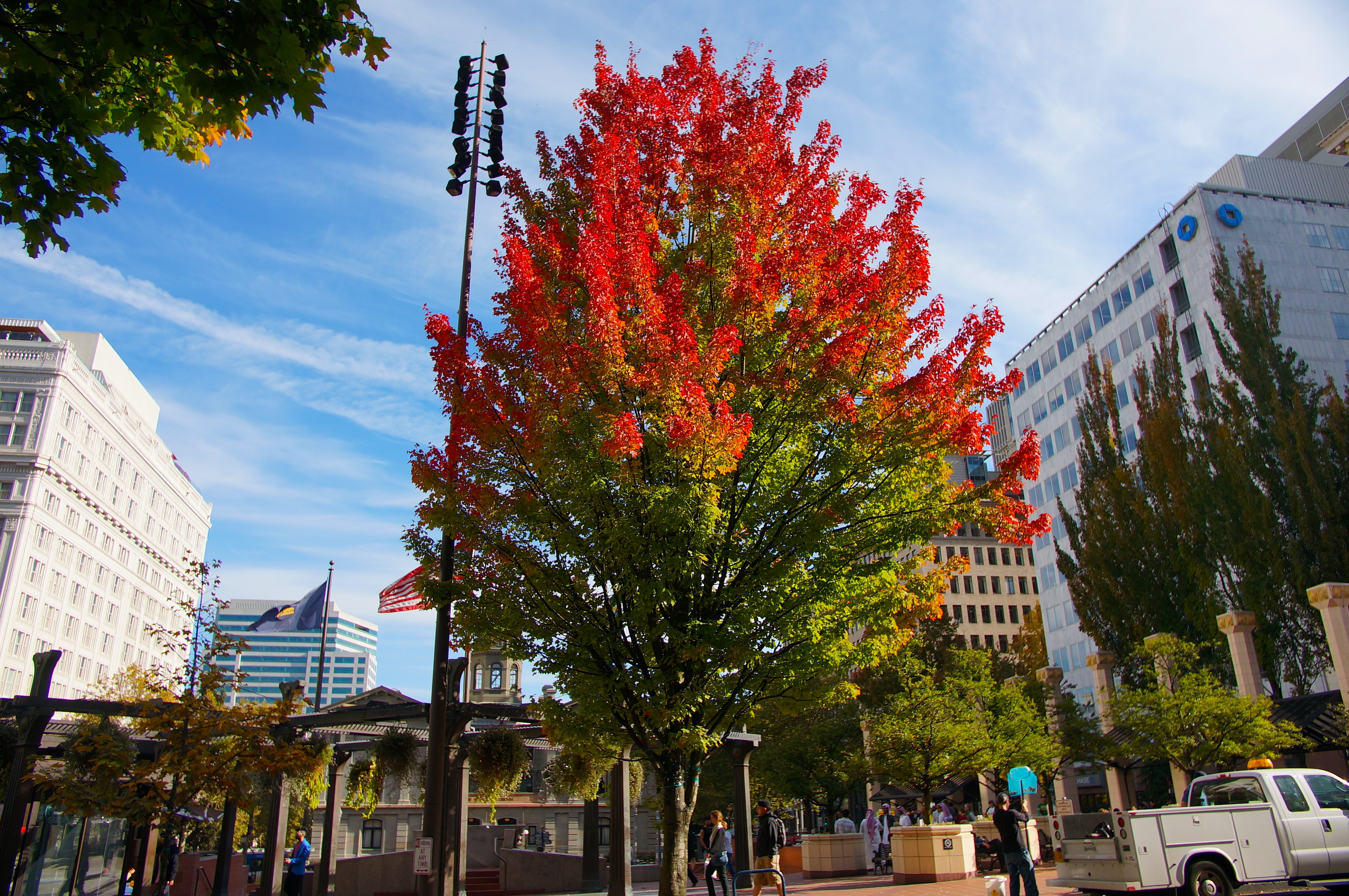 コラム6イメージ