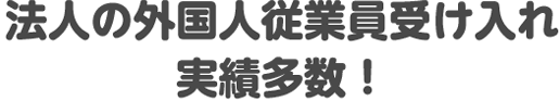 法人の外国人従業員受け入れ実績多数！