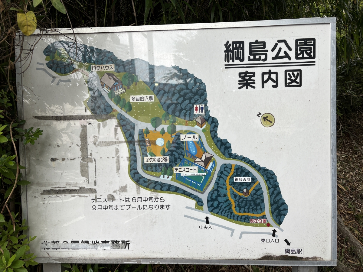 ヴィーナス綱島
