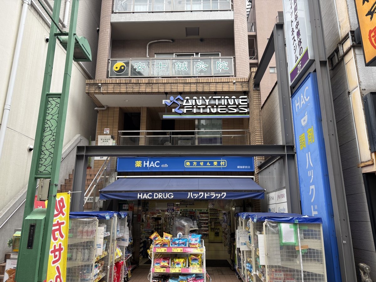 ヴィーナス綱島