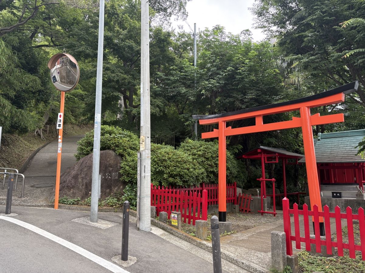ヴィーナス綱島